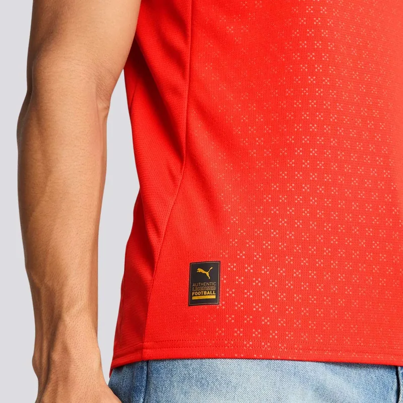 Detalhe do escudo bordado